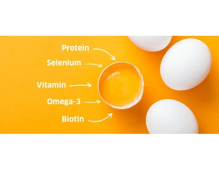 ویتامین های تخم مرغ