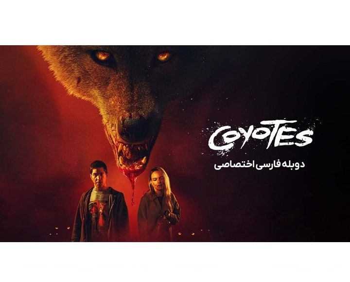 فیلم کایوت ها

